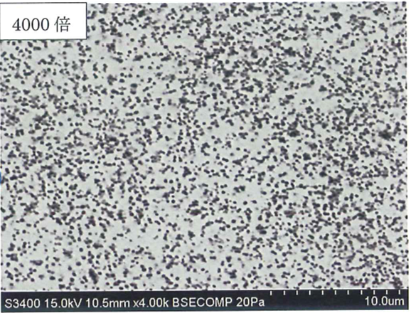 4000倍画像